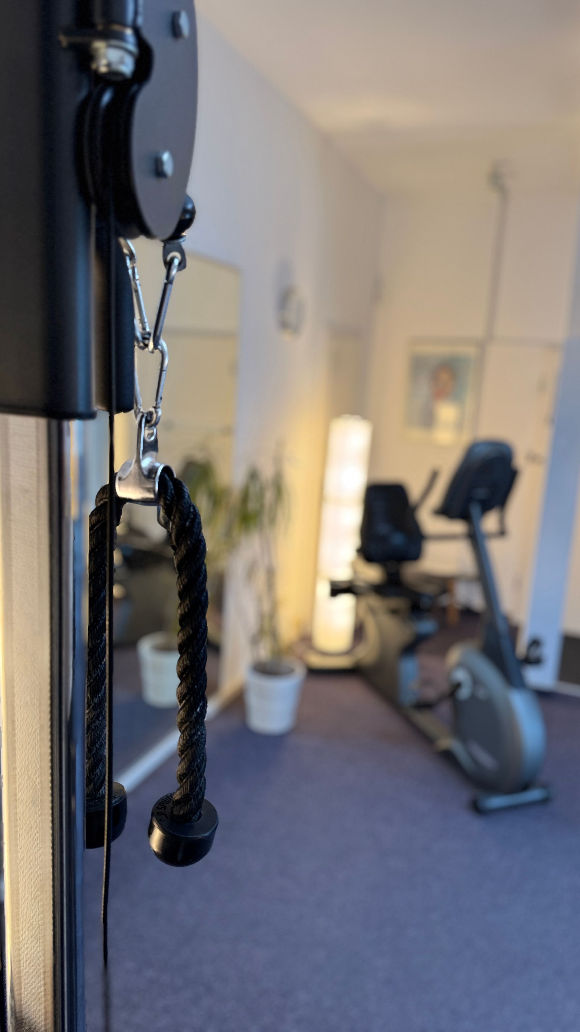 In einem Fitnessraum hängt an einem Gerät ein Seil in der Privatpraxis von Roland Hauf