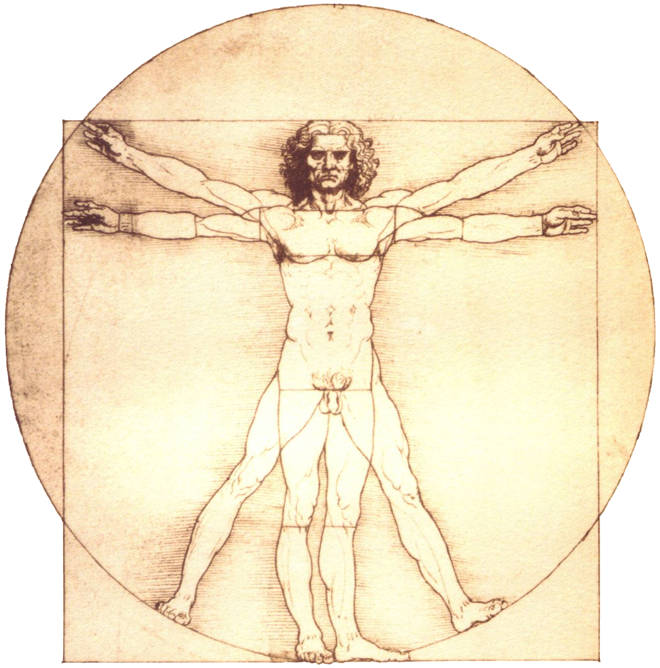 Das Logo von der Privatpraxis von Roland Hauf
